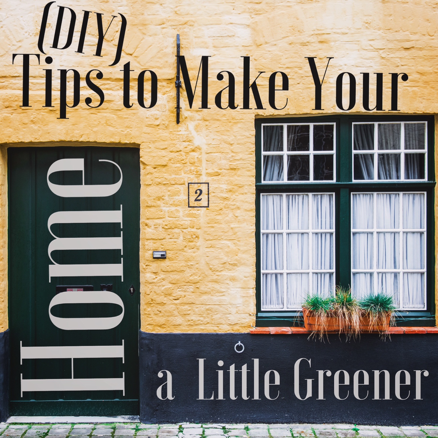 Green Home: Easy DIY Tips