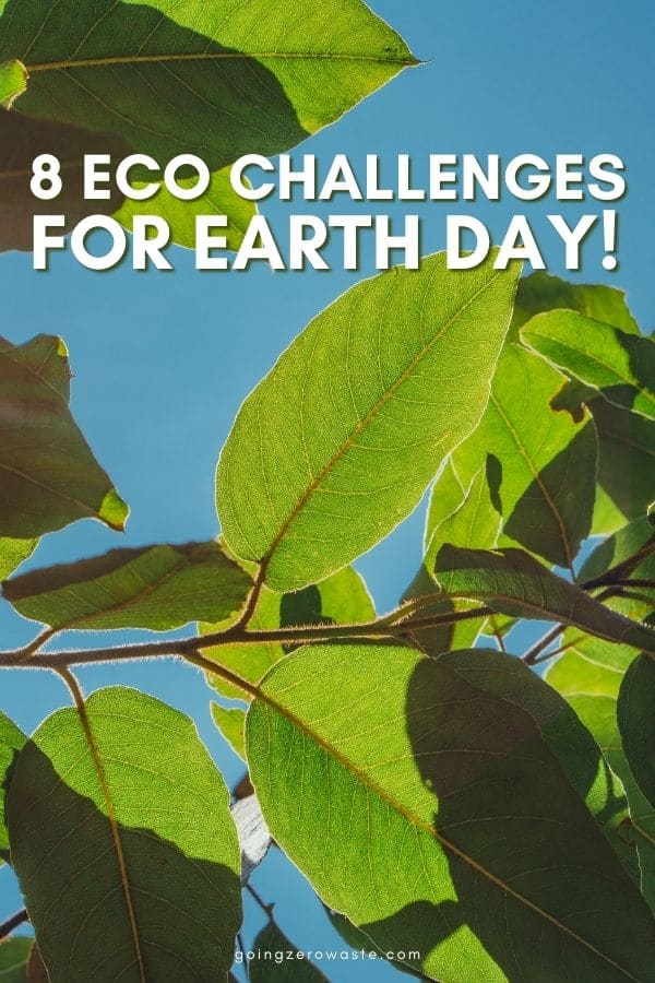 8 Eco Challenge Ideas for Earth Day