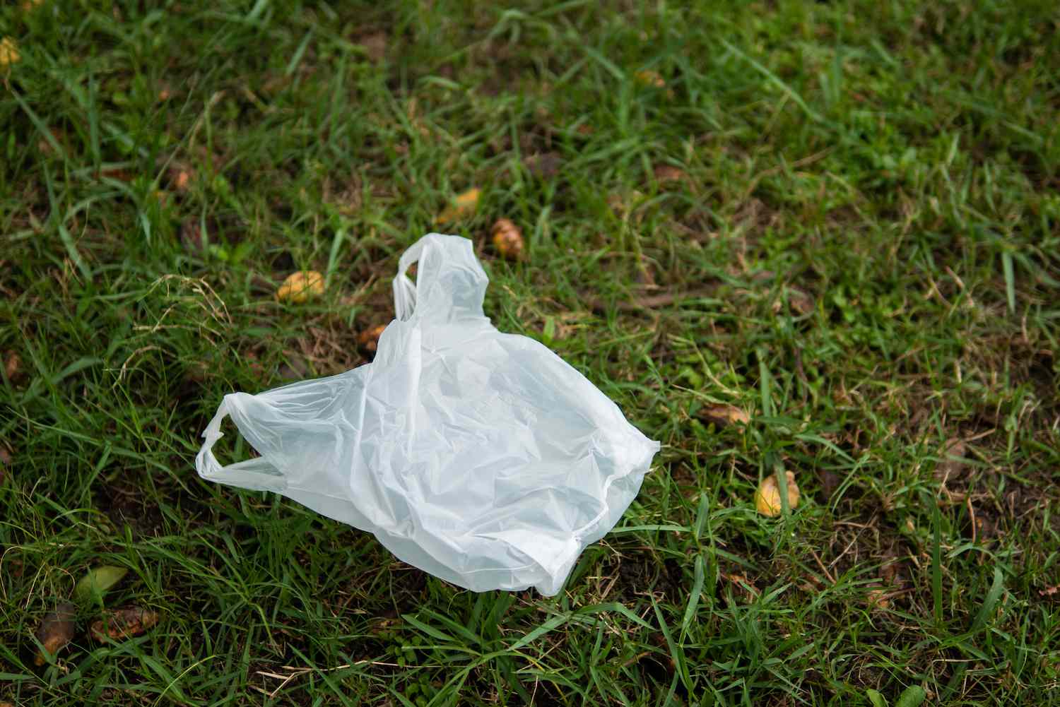 Should Cities Throw Away Plastic Bag Bans? It’s Complicated