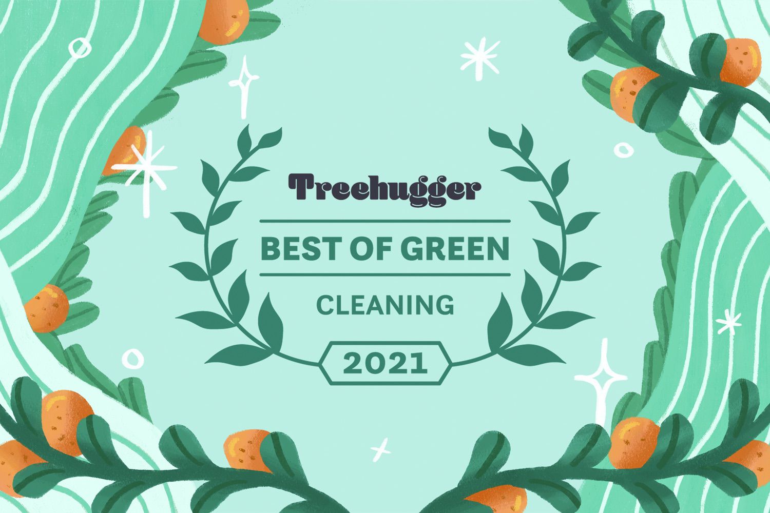 Best of Green Awards 2021: Green Cleaning